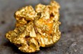 /album/fotogalerij/goud-plaatje-casence-jpg/